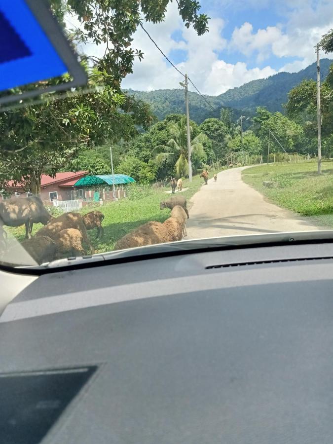 Aliza Scawa Homestay Kuala Pilah Exteriér fotografie